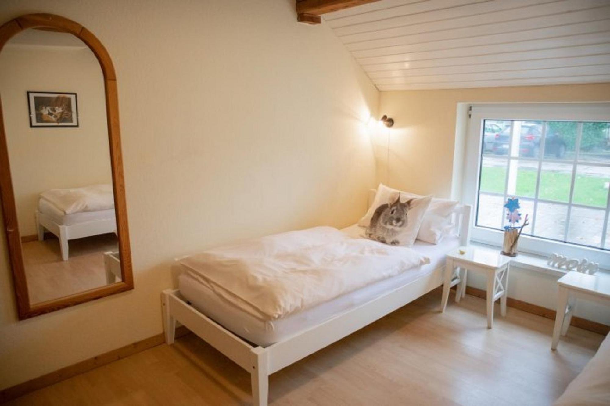 Moorweg Reiterhof Ekenhoff 아파트 외부 사진